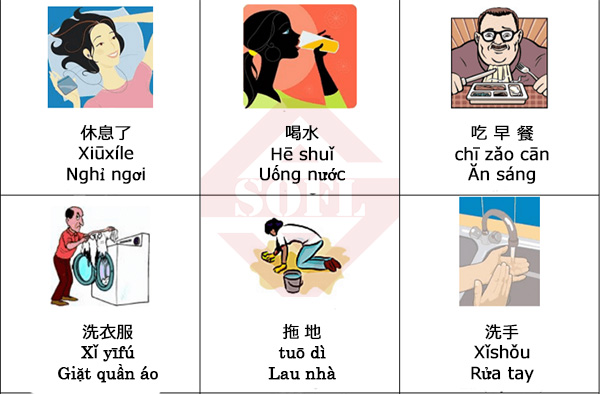 Các hoạt động của con người bằng tiếng Trung