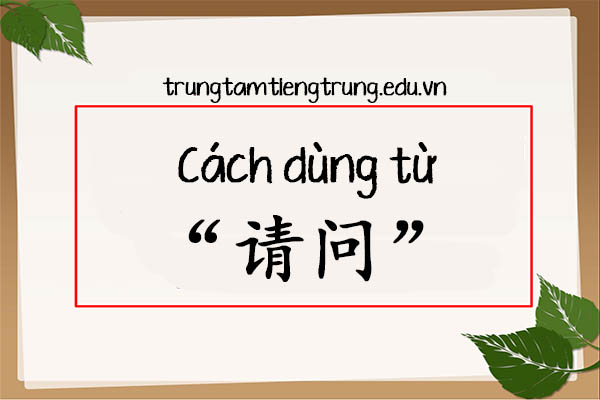 Cách dùng từ “请问” trong tiếng Trung