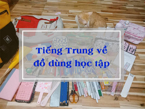 Balo Mèo đen Balo Nữ giá rẻ Tháng 9,2023|BigGo Việt Nam