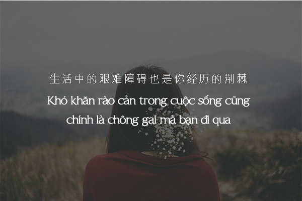 Những câu stt tiếng Trung hay về cuộc sống