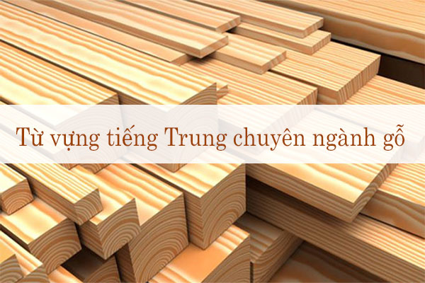 Từ vựng tiếng Trung Chuyên ngành gỗ