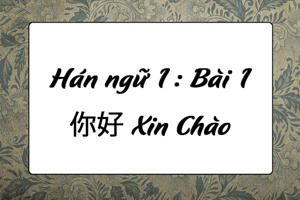 HSK 1 : Bài 1: 你好 Xin Chào - Giáo trình hán ngữ quyển 1