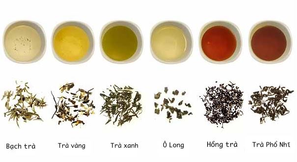 6 loại trà chính của người Hoa