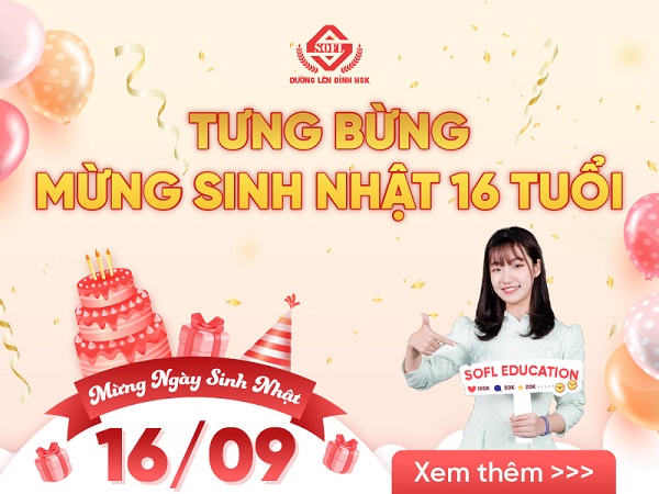 TƯNG BỪNG CHÀO MỪNG SOFL 16 TUỔI