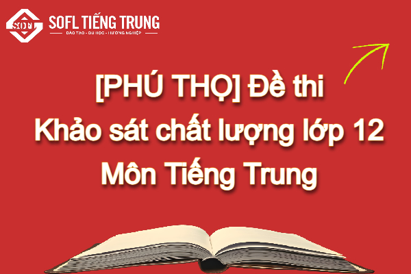 Đề thi khảo sát chất lượng lớp 12 môn tiếng Trung tình Phú Thọ