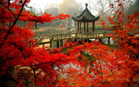 6 điểm thăm quan quyến rũ vào mùa thu ở Trung Quốc